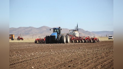 Весенний посев в Монголии охватит 633.4 тысячи гектаров