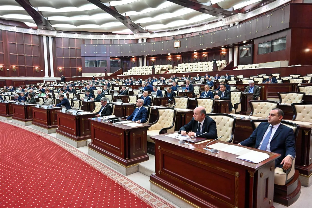 В ММ предложили приостановить работу межпарламентских групп с Бельгией и Нидерландами