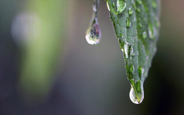Град, ветер и дожди ожидаются в ближайшие три дня в РК