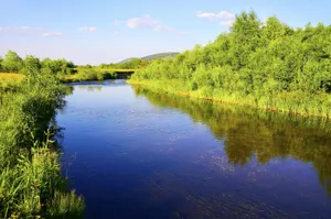 Факты «черного рынка» воды выявлены в Алматинской области