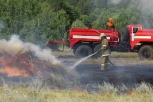 Лесные службы переведены в режим повышенной готовности