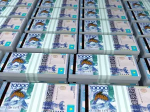 Получен доход от инвестиций в отечественный завод по производству подгузников