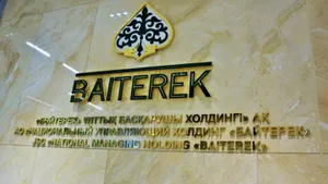 «Дочку» холдинга «Байтерек» требуют привлечь к ответственности
