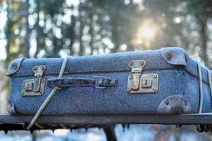 Свыше 3 тысяч этнических казахов получили статус кандаса в Казахстане