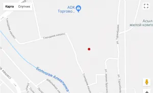 Сейсмологи зафиксировали землетрясение в Алматы силой два балла