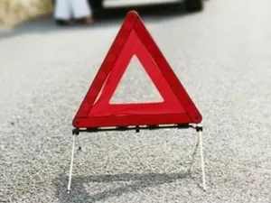 В Алматинской области мужчина погиб, врезавшись в дерево