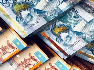 Мүгедектігі бар адамдарды қолдауға триллионнан астам теңге бөлінеді