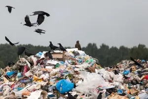 Использовать мусор для выработки электрической энергии планируют в Казахстане