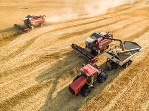 Ауыл шаруашылығы өнімдерінің бағасын қалыптастырудағы тиімсіз делдалдарды жоюды премьер тапсырды