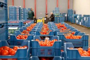 Электронный фитосанитарный сертификат введут в ЕАЭС