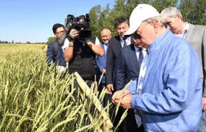 Нурсултан Назарбаев поручил не затягивать со сбором урожая