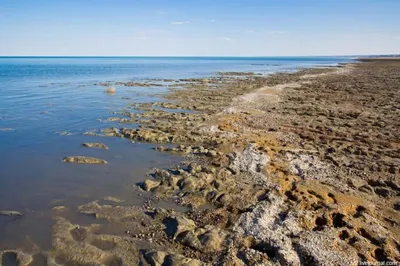 Экспедиция QazaqGeography отправилась к Аралу