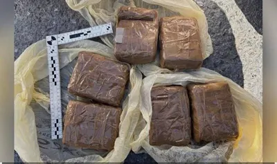 Три килограмма гашиша изъяла полиция в Жамбылской области